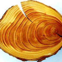 kompresyjne od kojsa