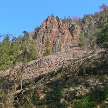 stok osypiskowy zadrzewiony