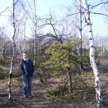 zanieczyszczenia las